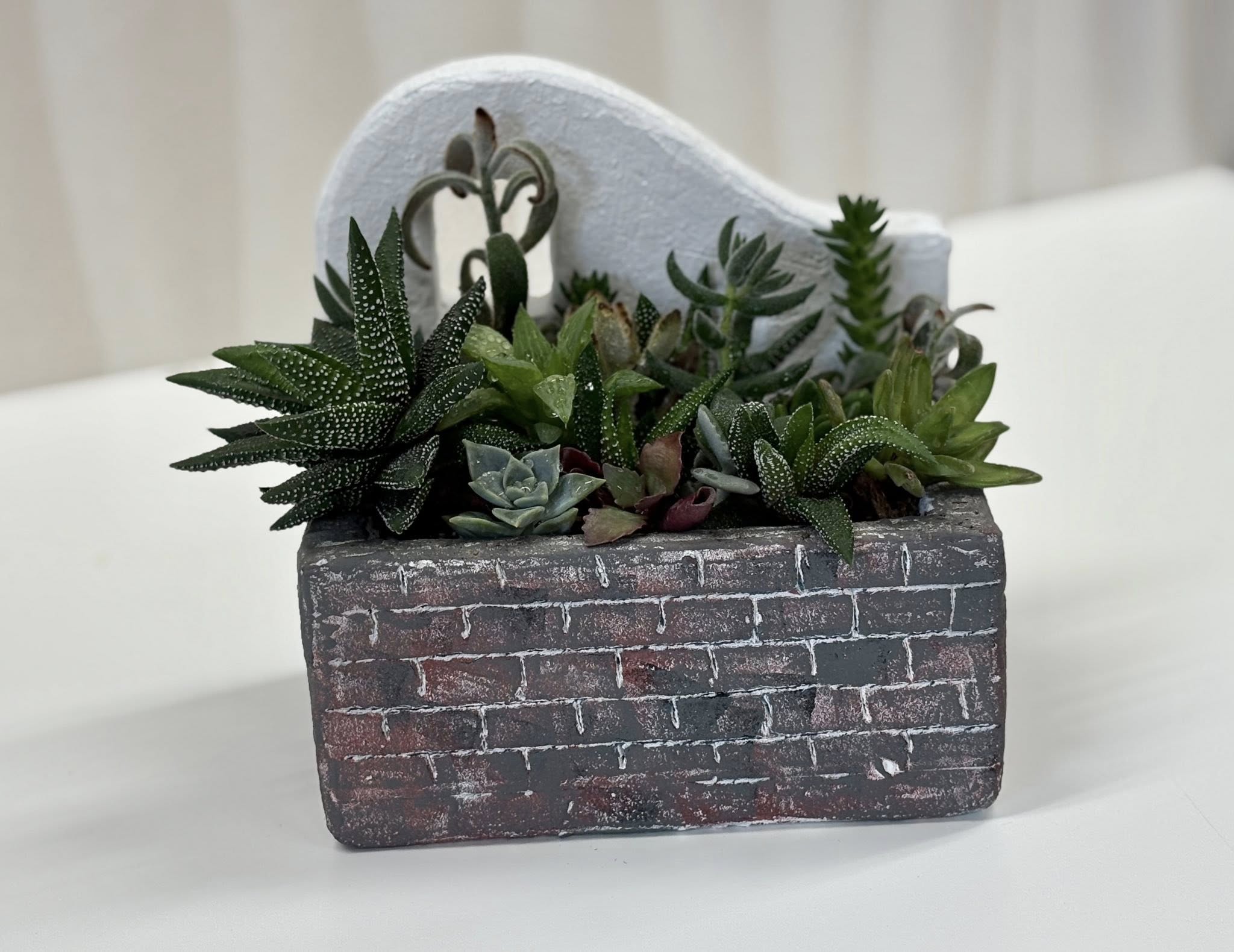 多肉プランター