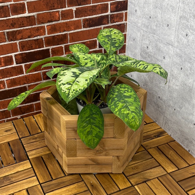 プランターカバー