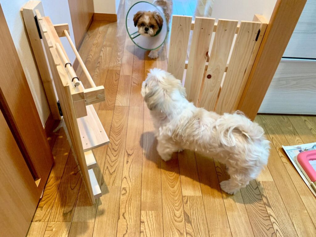 DIYでペットガードを製作！愛犬が安心して過ごせる空間づくり