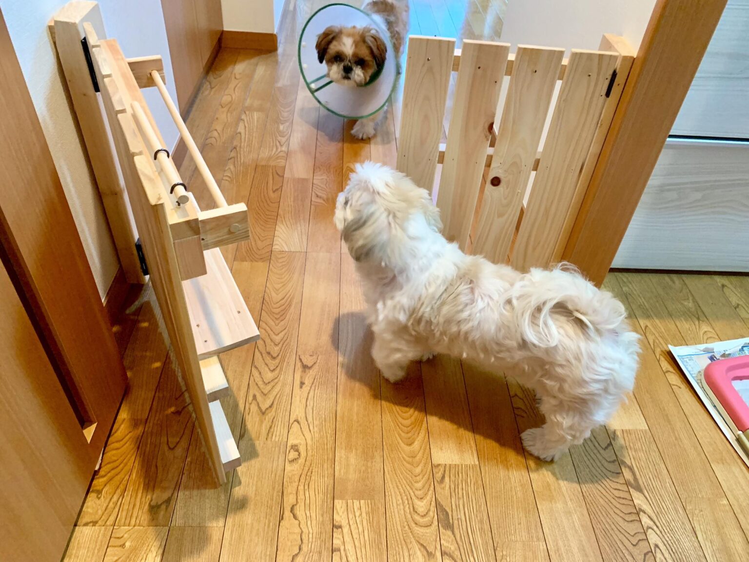 DIYでペットガードを製作！愛犬が安心して過ごせる空間づくり